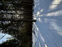 IMG_7230 (768x1024).jpg